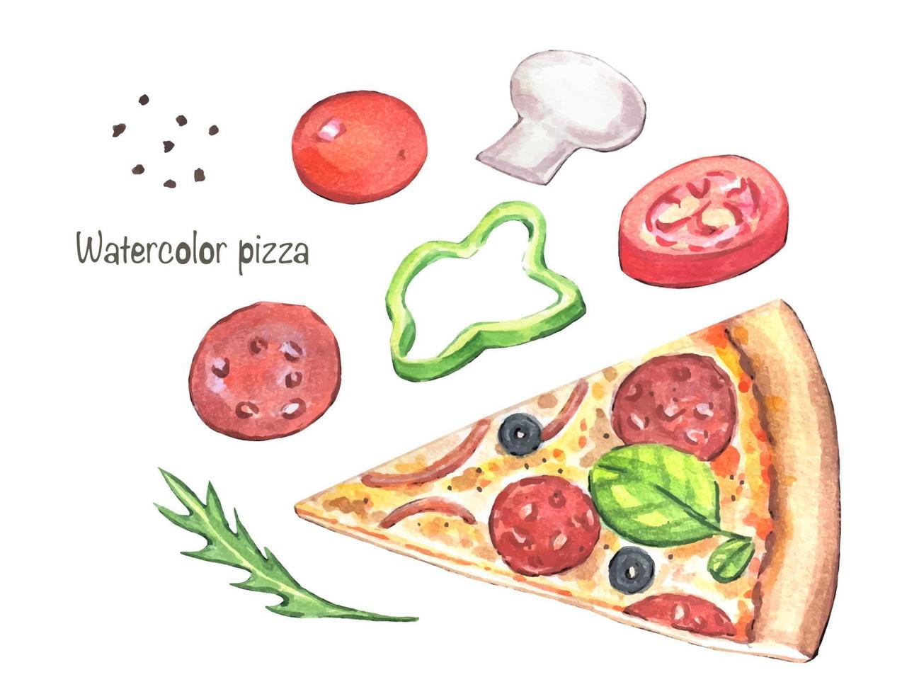 hand dragen pizza och Ingredienser, vattenfärg illustration vektor