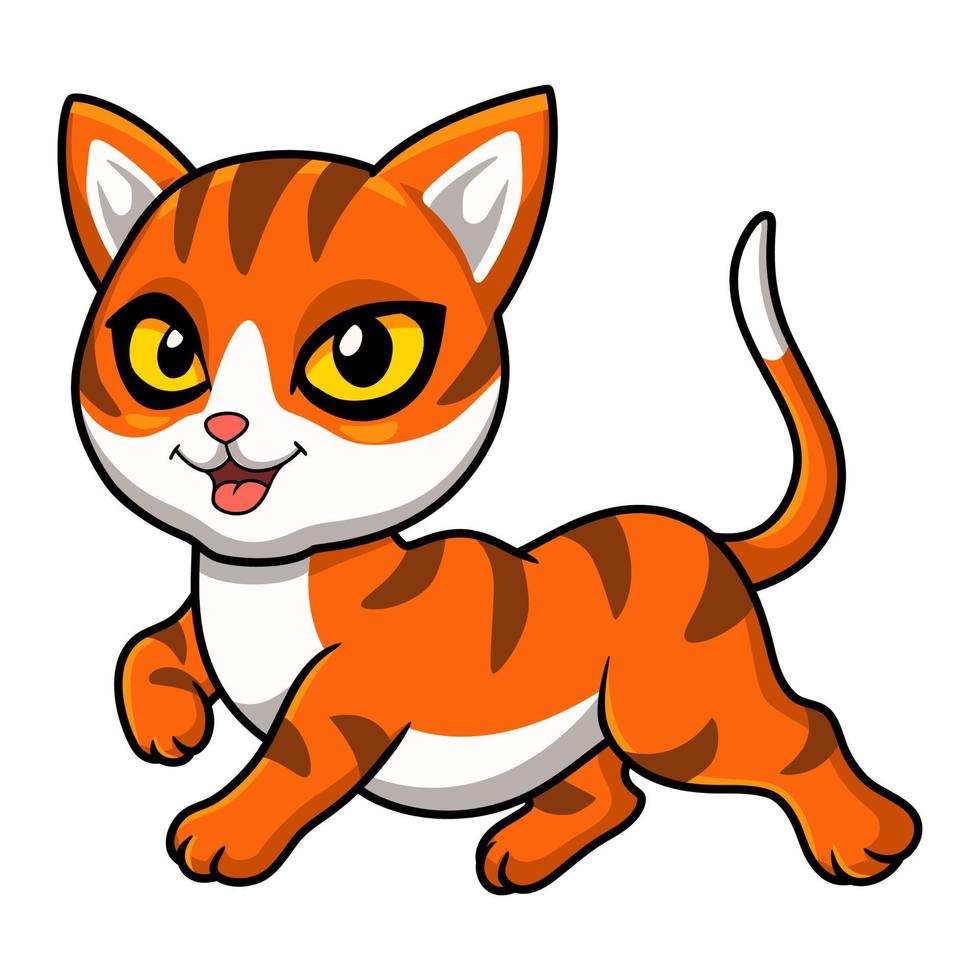 söt orange tabby katt tecknad serie vektor