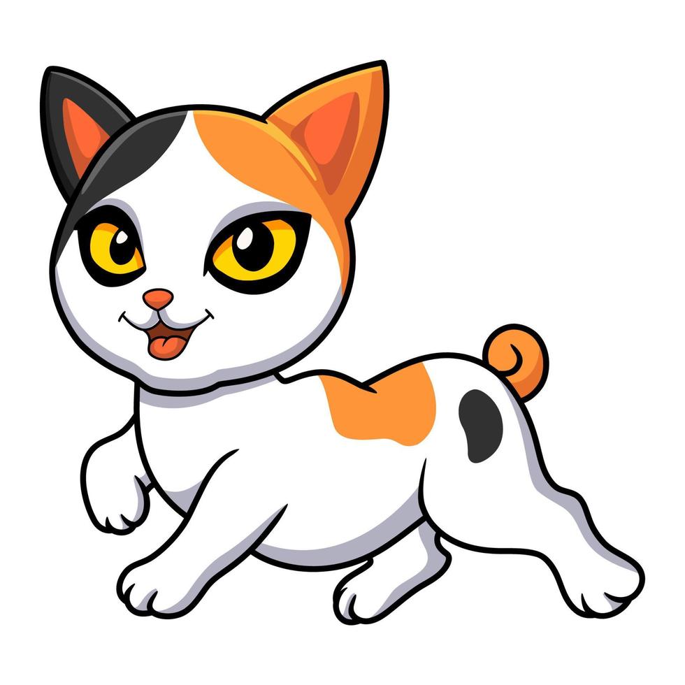 süßer japanischer Bobtail-Katzen-Cartoon vektor