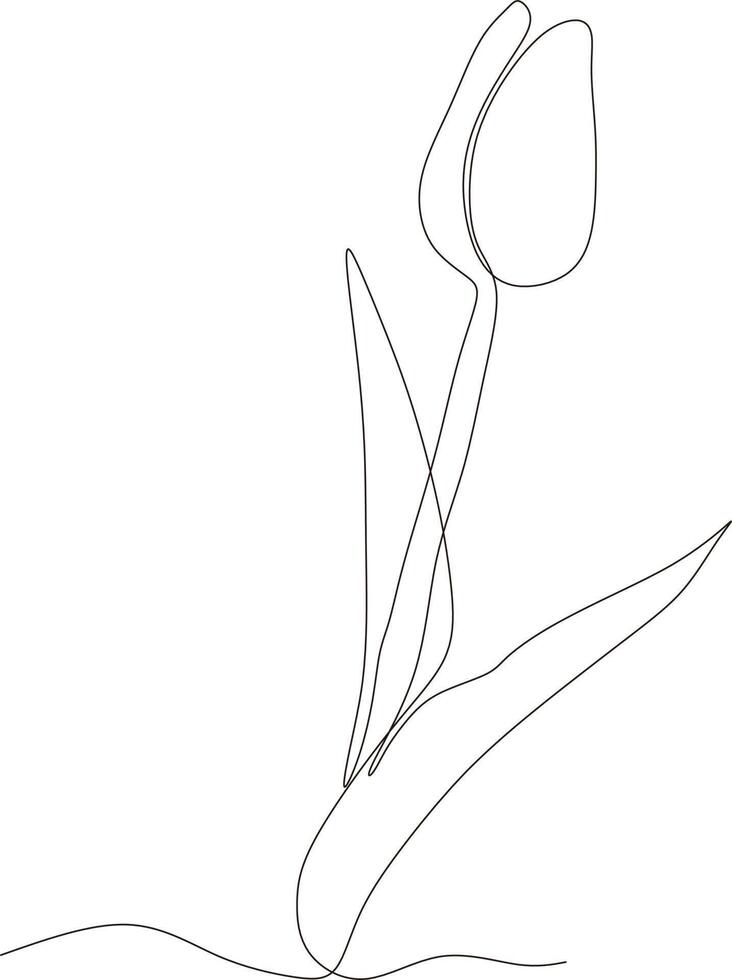 Tulpenblume schwarz-weiß durchgehende Strichzeichnung. eine Strichzeichnung. Vektor-Illustration vektor