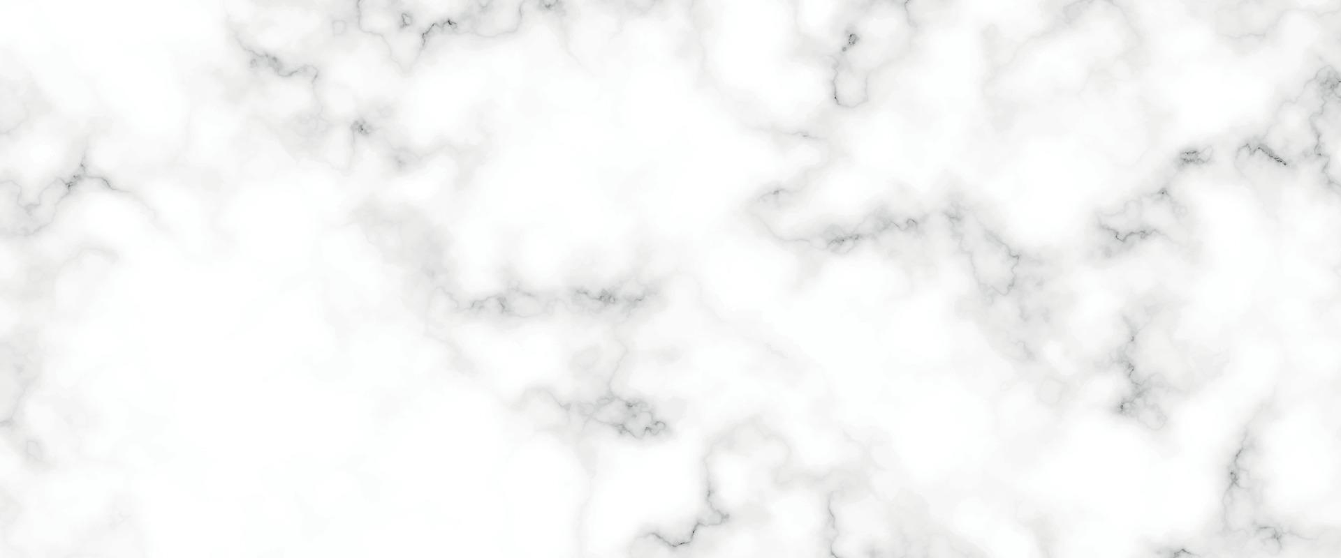 vit marmor bakgrund textur naturlig sten mönster.abstrakt ljus elegant svart för do golv keramisk disken textur sten platta slät bricka grå silver.marmor textur för hud bricka lyxig design vektor