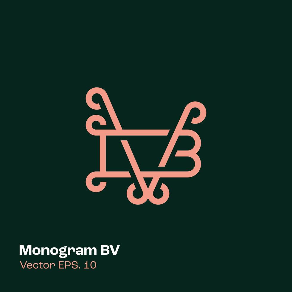 monogramm logo bv vektor