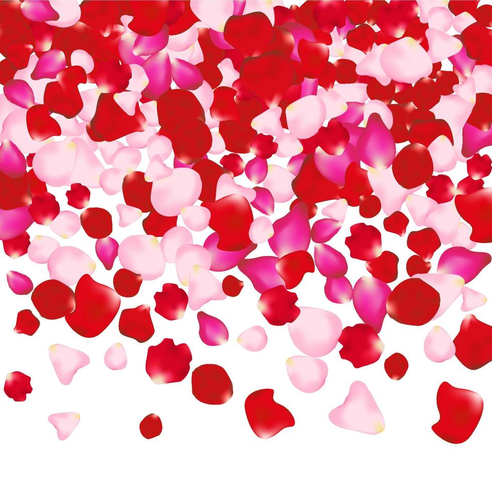 röd och rosa reste sig kronblad isolerat på vit. valentine bakgrund. skönhet mode kvinna begrepp vektor