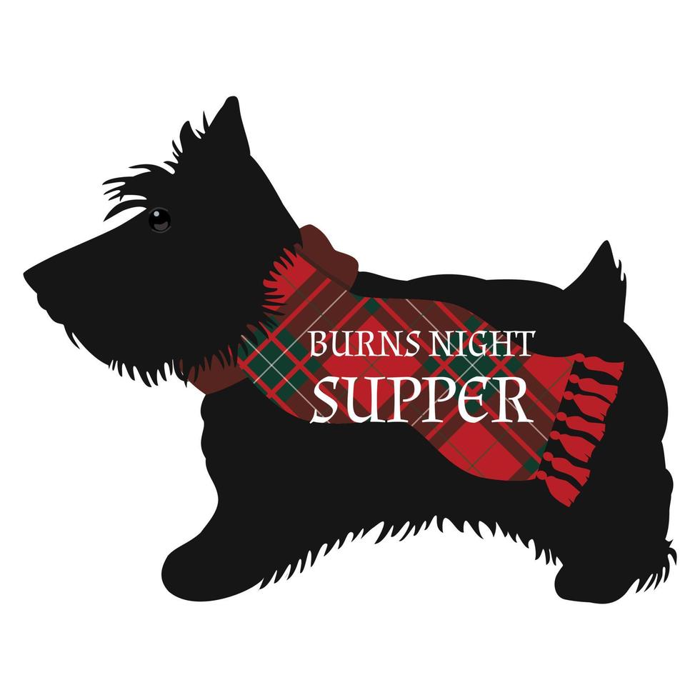 Burns Night Dinner Card mit Scottish Terrier vektor