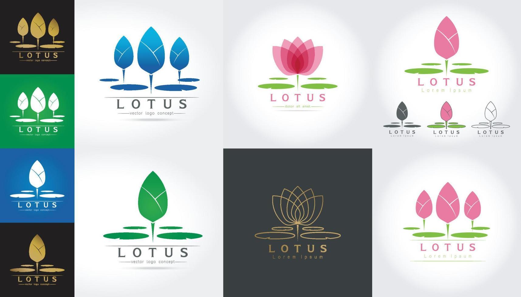 Lotusblumen-Logo-Vektor vektor