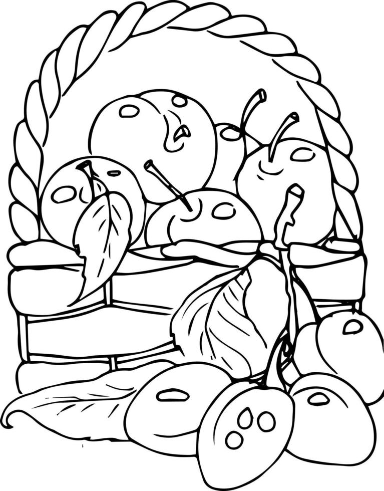 frukt bär i en korg. äpplen, granatäpple, plommon päron. klotter illustration, färg bok för vuxna och barn. vektor