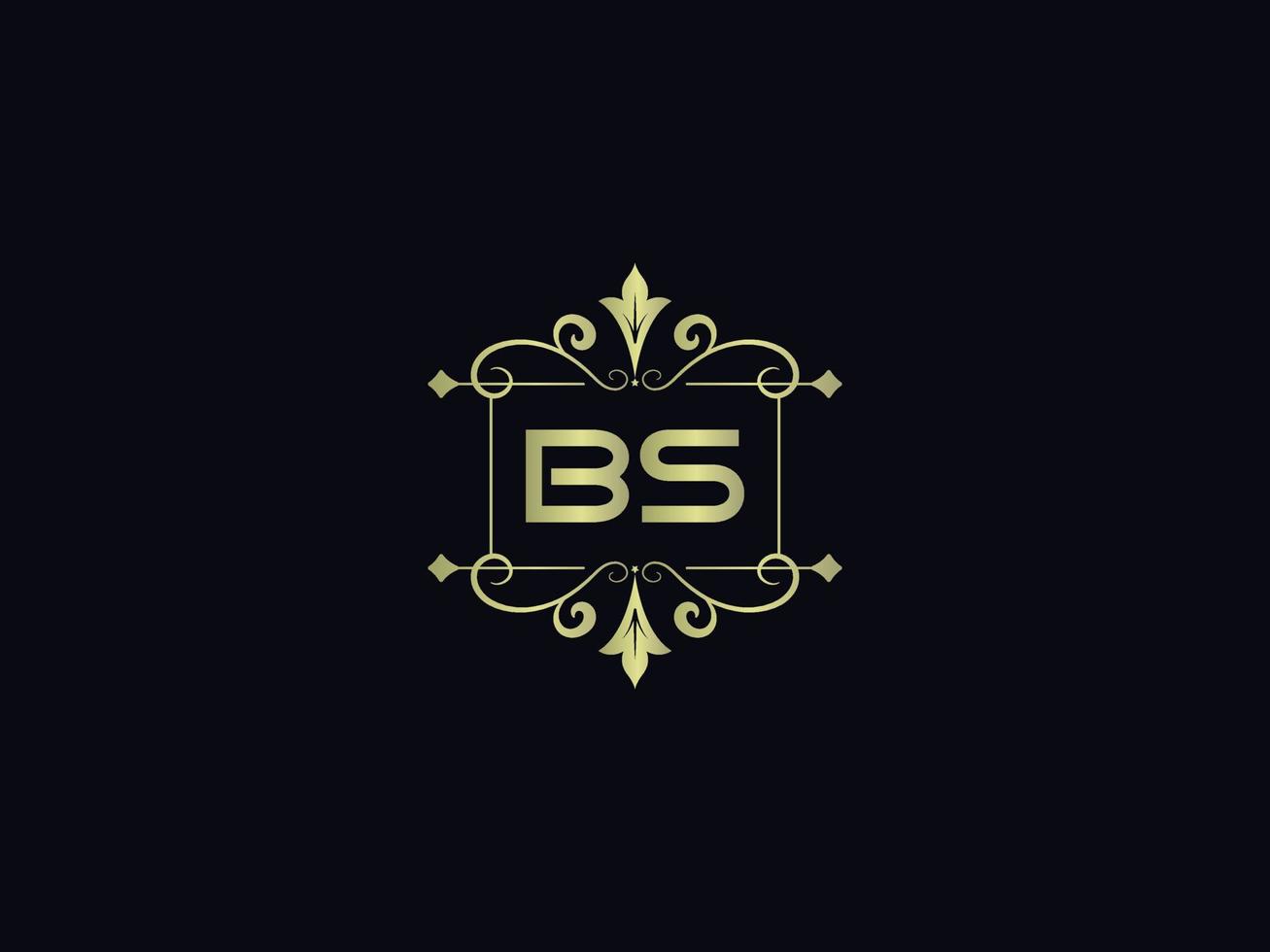 Buchstabe bs-Logo-Symbol, anfänglicher bs-Luxus-Logo-Briefvektor vektor