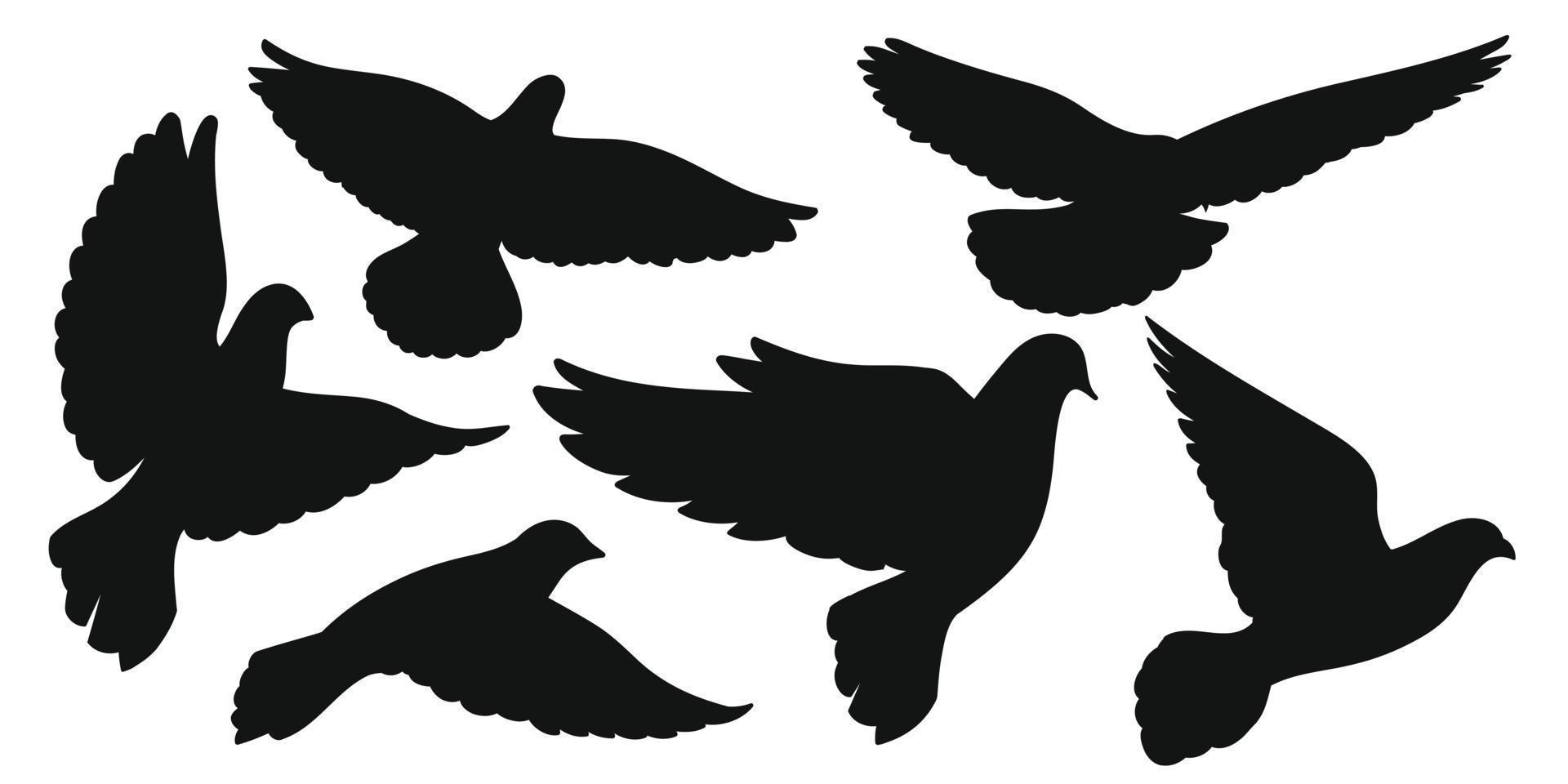 Satz schwarze Silhouetten von Tauben im Flug. Vektor-Illustration vektor