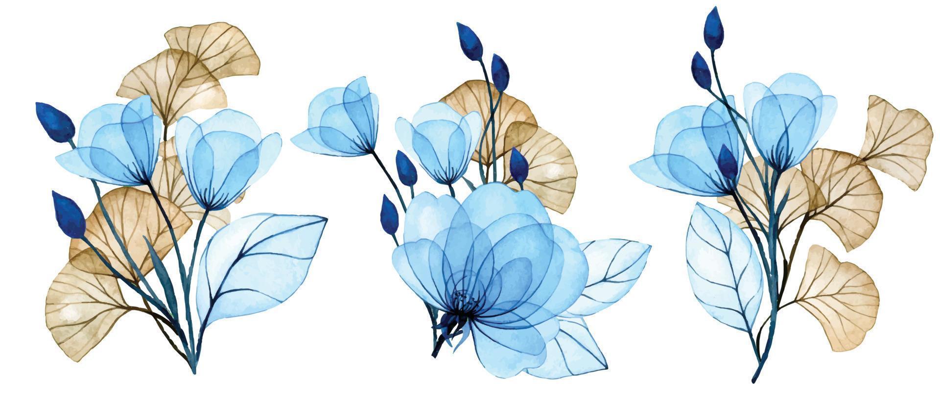 aquarellillustration. Reihe von Blumensträußen aus transparenten Blumen. blaue Blüten und Ginkgoblätter. zarte Zeichnung, Röntgen vektor