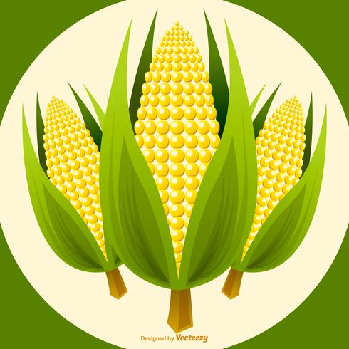 Vektor Corn Stalk Illustration