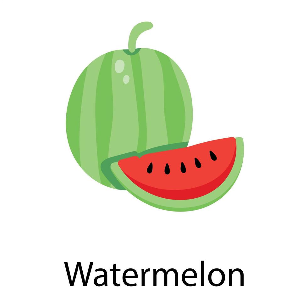 trendige Wassermelonenkonzepte vektor