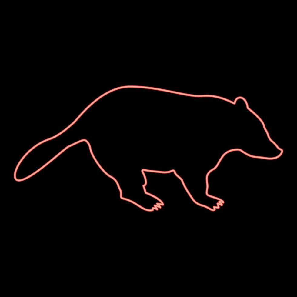 neon grävling djur- vild meles taxus predatory däggdjur familj kunihih rovdjur röd Färg vektor illustration bild platt stil