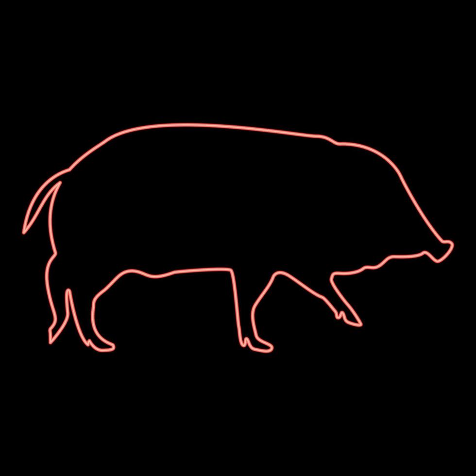 neon vild vildsvin gris vårta svin suidae sus tusker scrofa röd Färg vektor illustration bild platt stil