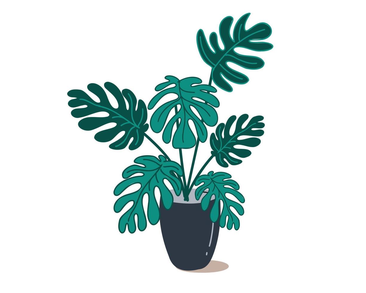 monstera i en pott. inomhus- växt. klotter och enkel vektor illustration