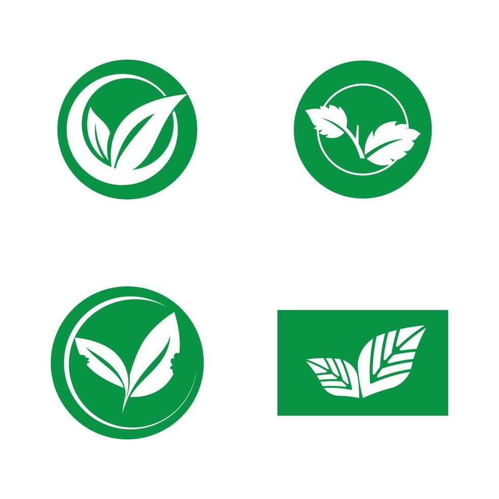 Blatt-Vektor-Illustration-Design-Symbol-Logo vektor