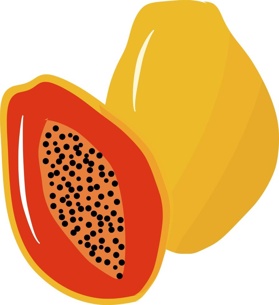 nyligen frukt papaya vektor