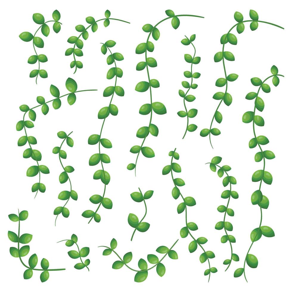Reihe von abstrakten Cartoon-Zweigen und Lianen mit Blättern einer Pflanze. vektor