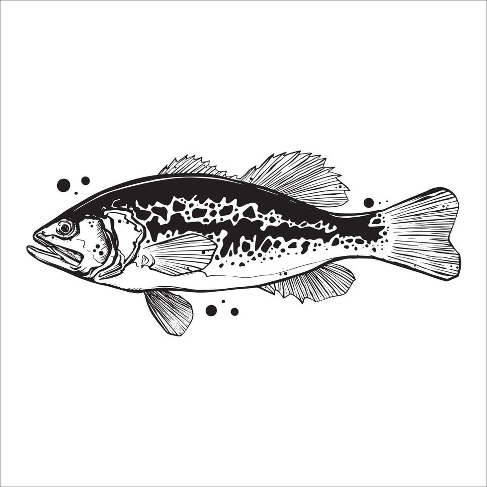 Bass Fisch Strichzeichnung Stil auf weißem Hintergrund. gestaltungselement für symbollogo, etikett, emblem, zeichen und markenzeichen.vektorillustration vektor