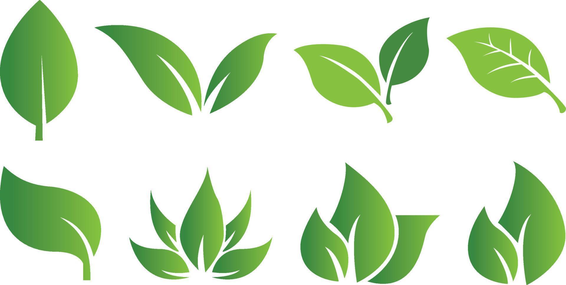 Reihe von abstrakten isolierten grünen Blättern Symbole auf weißem Hintergrund vektor