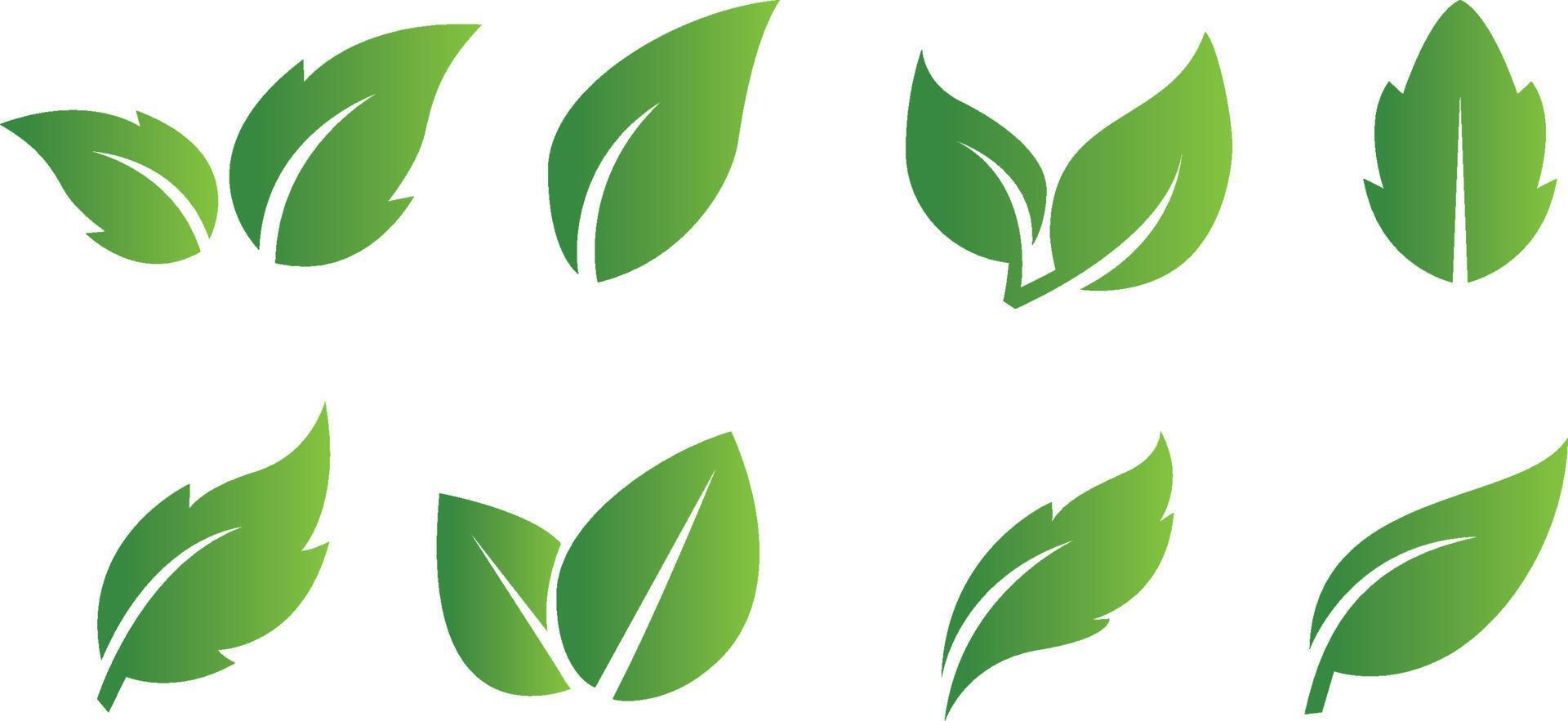 uppsättning av abstrakt isolerat grön löv ikoner på vit bakgrund vektor