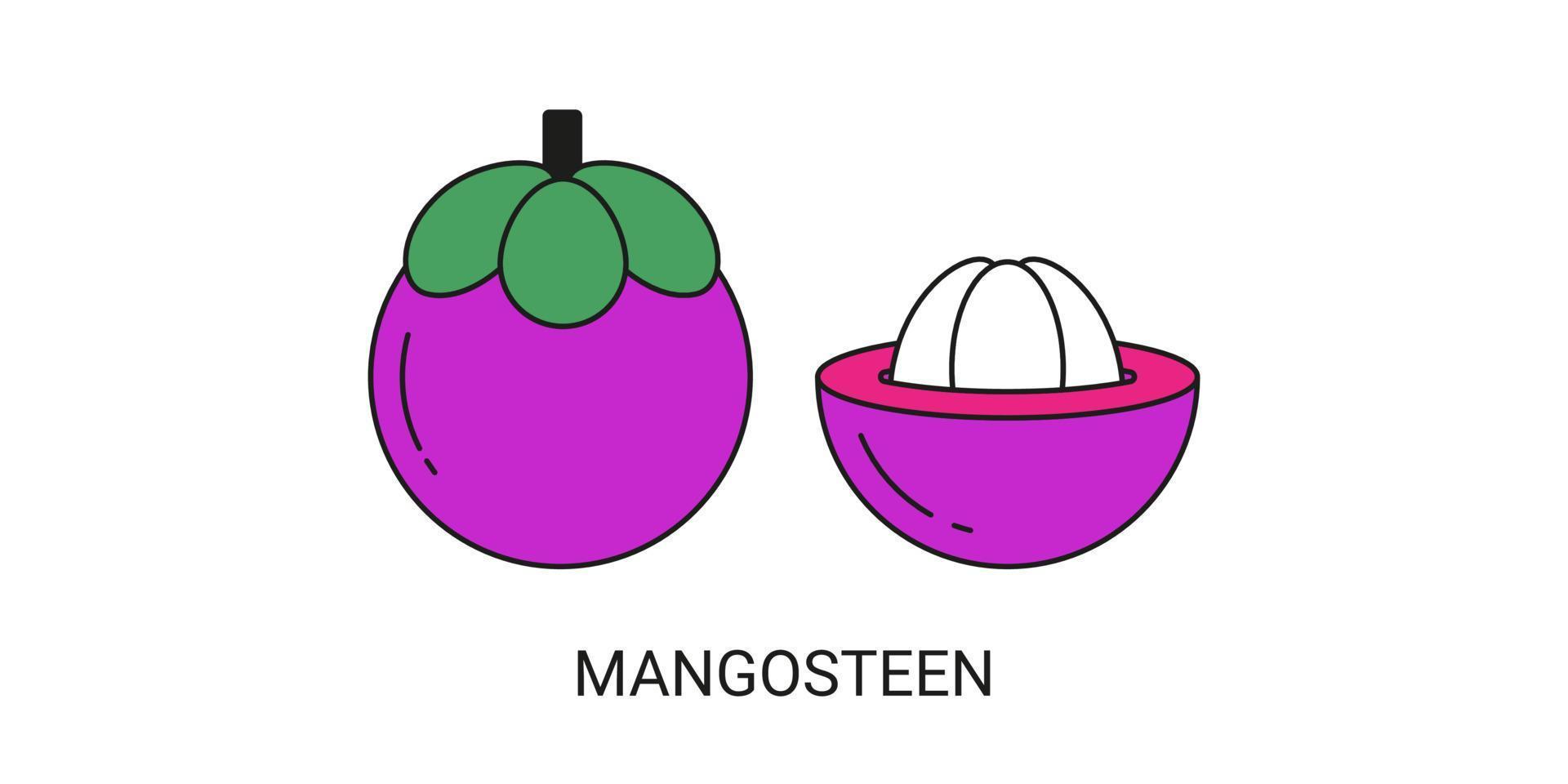 mangostan exotisches fruchtikonenelement für web vektor