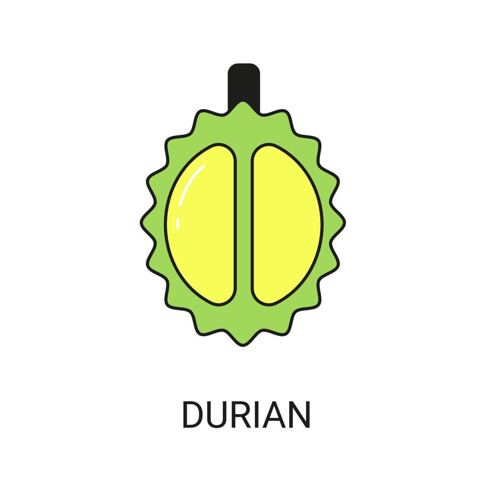 durian exotisches fruchtikonenelement für web vektor