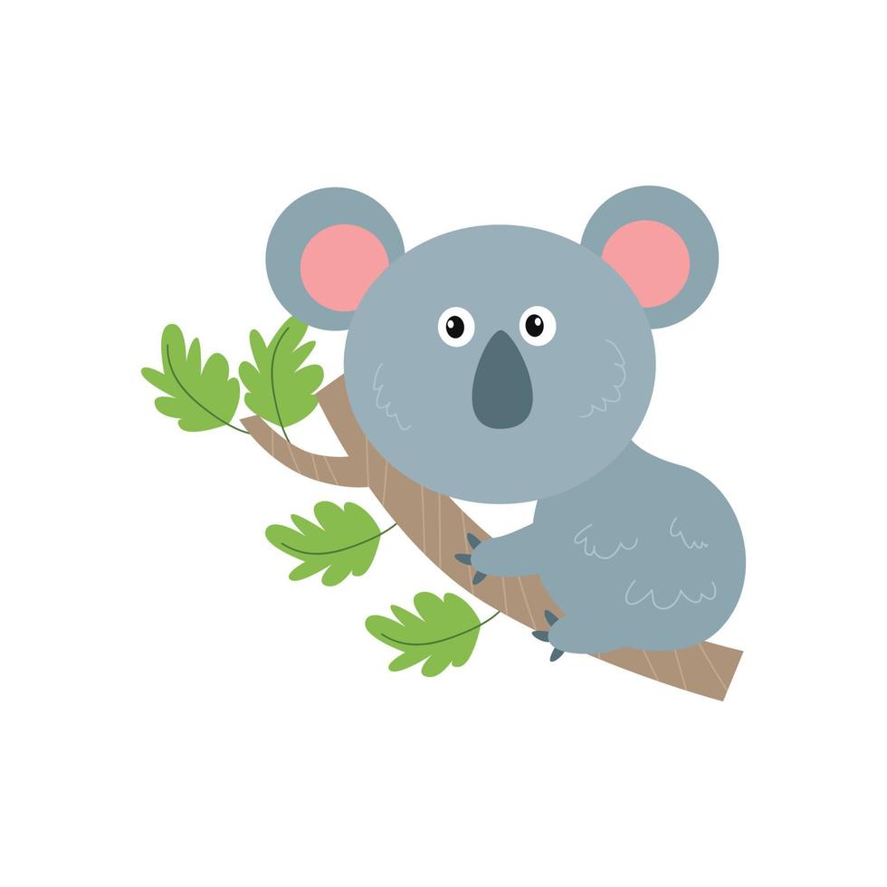 süßer und entzückender kleiner Koala auf weißem Hintergrund. gute illustrationen für cartoons grafikdesign vektor