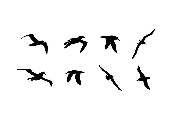Flyga Albatross Silhouette Gratis Vector