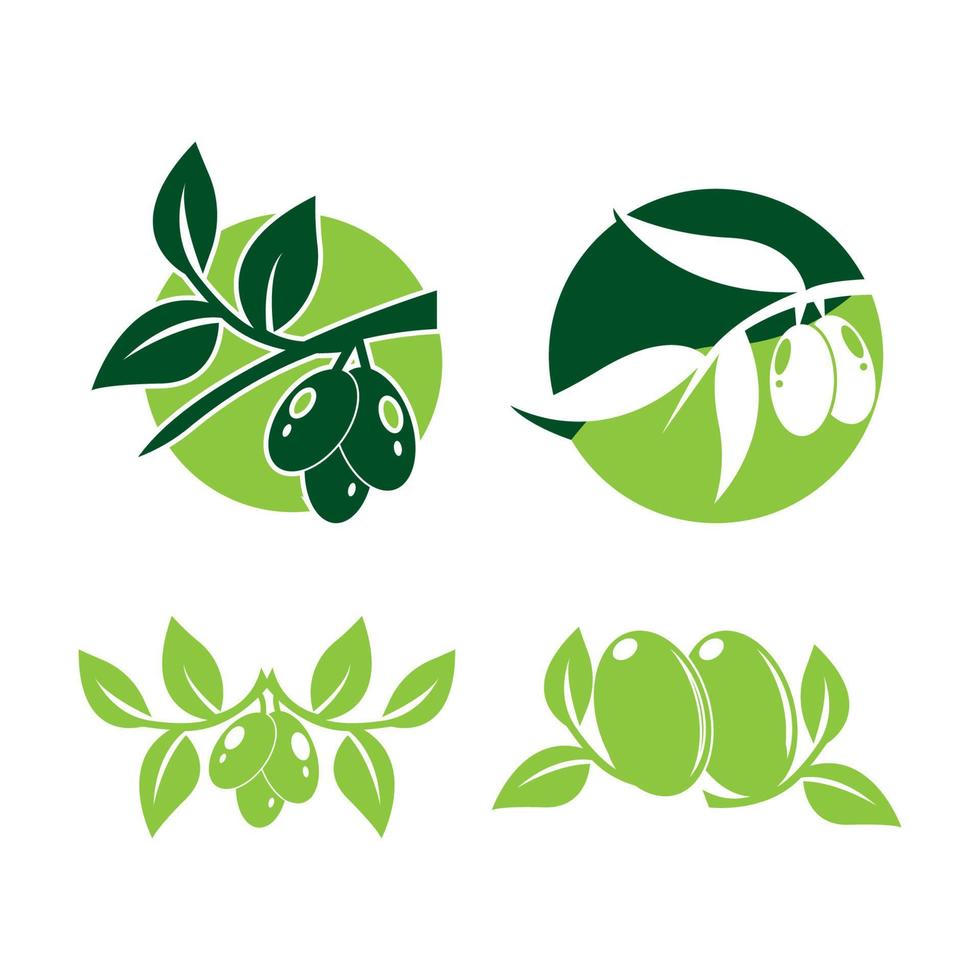 uppsättning av oliv logotyp vektor illustration design