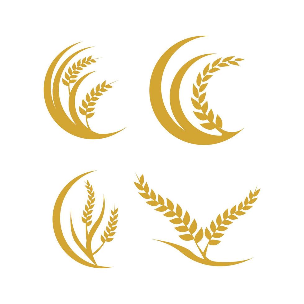 Landwirtschaft Weizen Logo Vorlage Vektor Icon Design