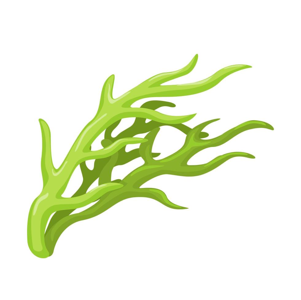 tång växt symbol objekt tecknad serie illustration vektor