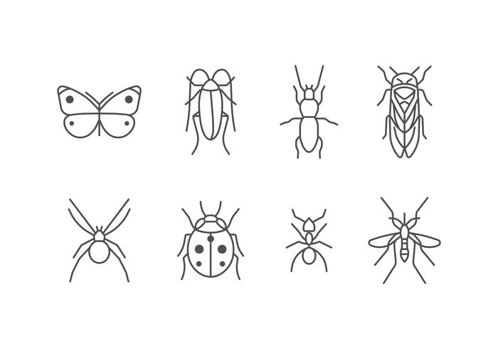 Insekten-Icon-Set vektor