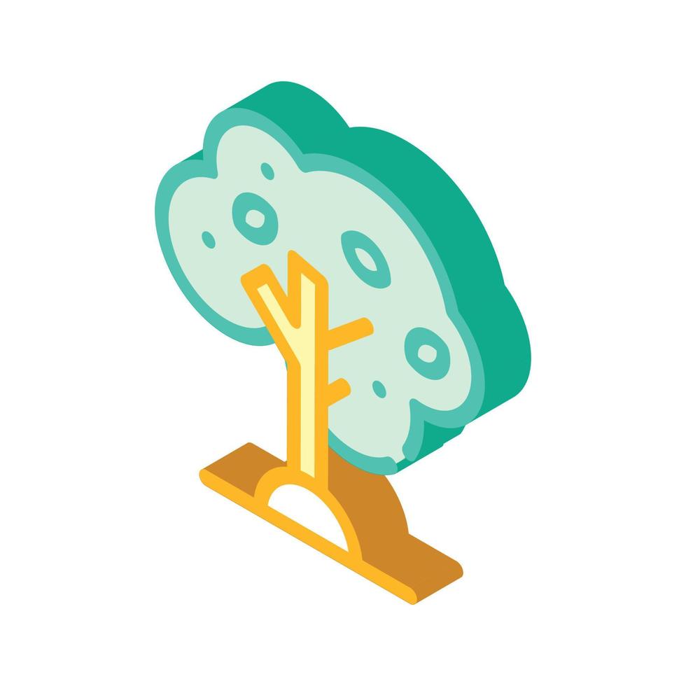 oliv träd isometrisk ikon vektor symbol illustration