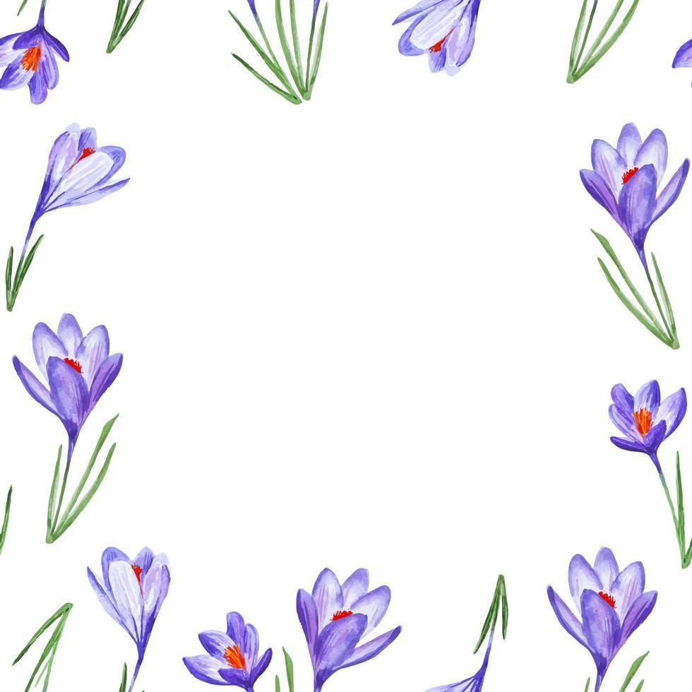 Krokus Frühlingsblumen Musterrahmen Aquarell handgezeichnet für Servietten und Dekor vektor
