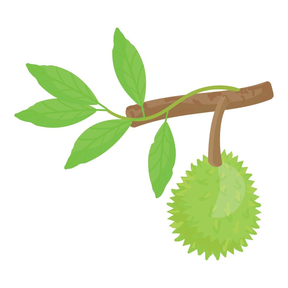 Durian Zweig Symbol Cartoon Vektor. süße Frucht vektor