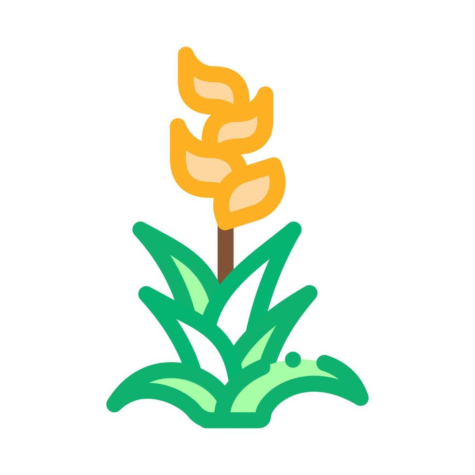 exotisk blomma ikon vektor översikt symbol illustration