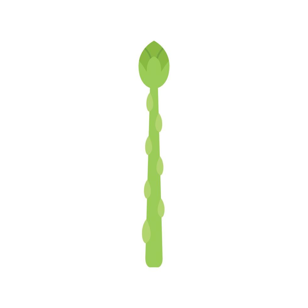 Salat-Spargel-Symbol flacher Vektor. Pflanzenbündel vektor