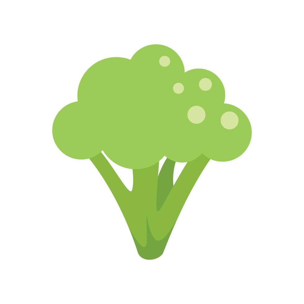 diet färsk brocoli ikon platt vektor. broccoli kål vektor