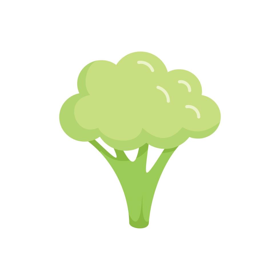 sauberer Brocoli-Symbol flacher Vektor. Kohl Gemüse vektor