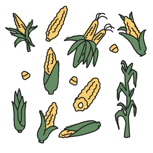 Mais-Zeichnungen vektor