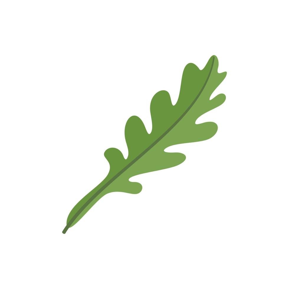 vegetabiliska arugula ikon platt vektor. rucola sallad vektor