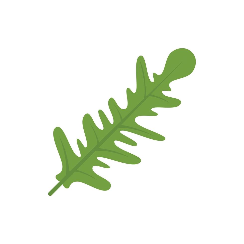 Gemüse-Rucola-Symbol flacher Vektor. Rucola-Salat vektor