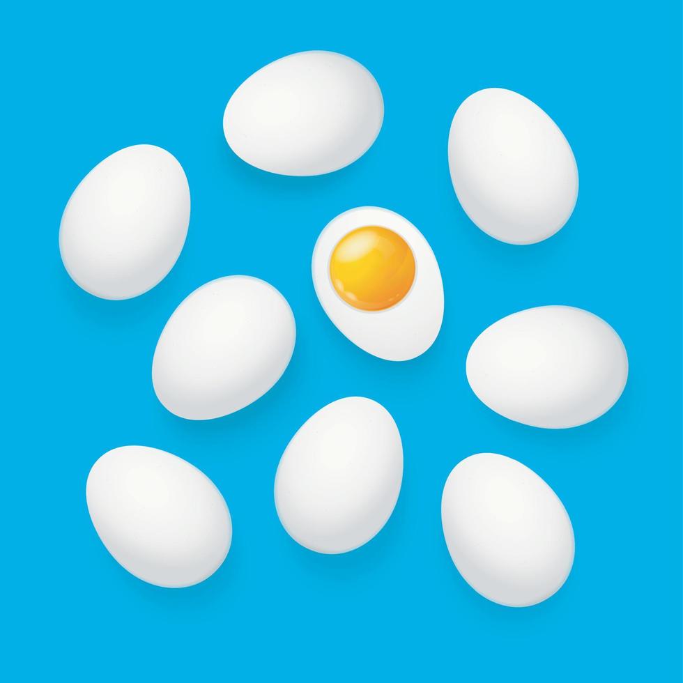 realistische detaillierte 3d-weiße ganze eier und die hälfte. Vektor