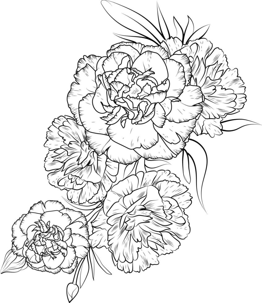 nelkenblumenzeichnung, illustrationsskizze von handgezeichneten blumen isoliert auf weiß. frühlingsblumen- und tintenkunststil, botanischer garten. vektor