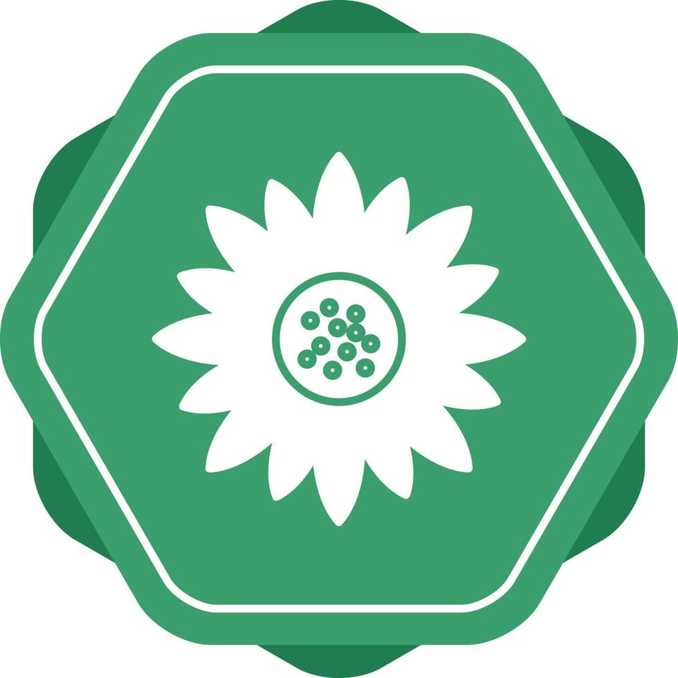 Symbol für Sonnenblumenvektor vektor