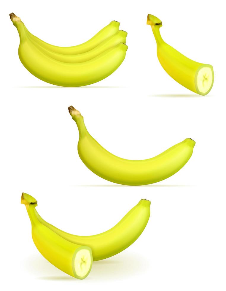 mogen gul banan och lite grön vektor
