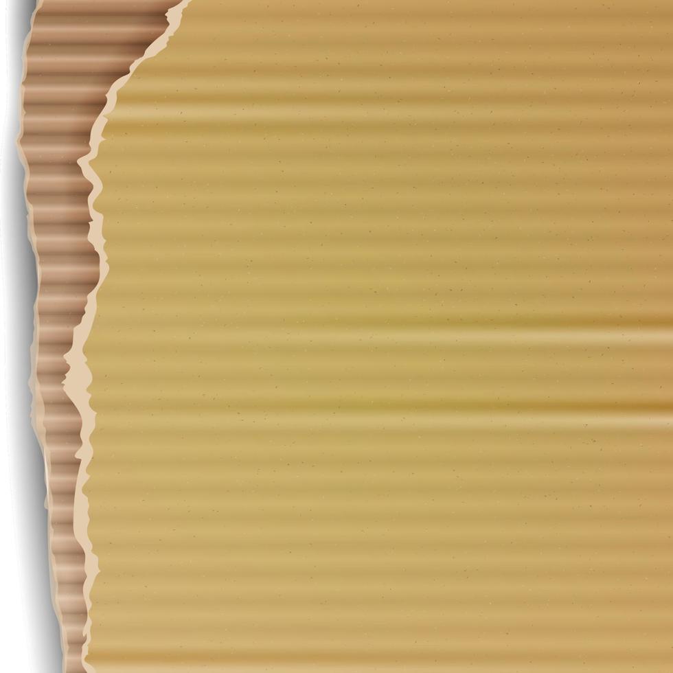 Wellpappe-Vektor-Hintergrund. realistische zerrissene kartontapete mit zerrissenen kanten. Grafikdesignelement für Poster, Flyer, Werbung, Website. Vektor-Illustration vektor