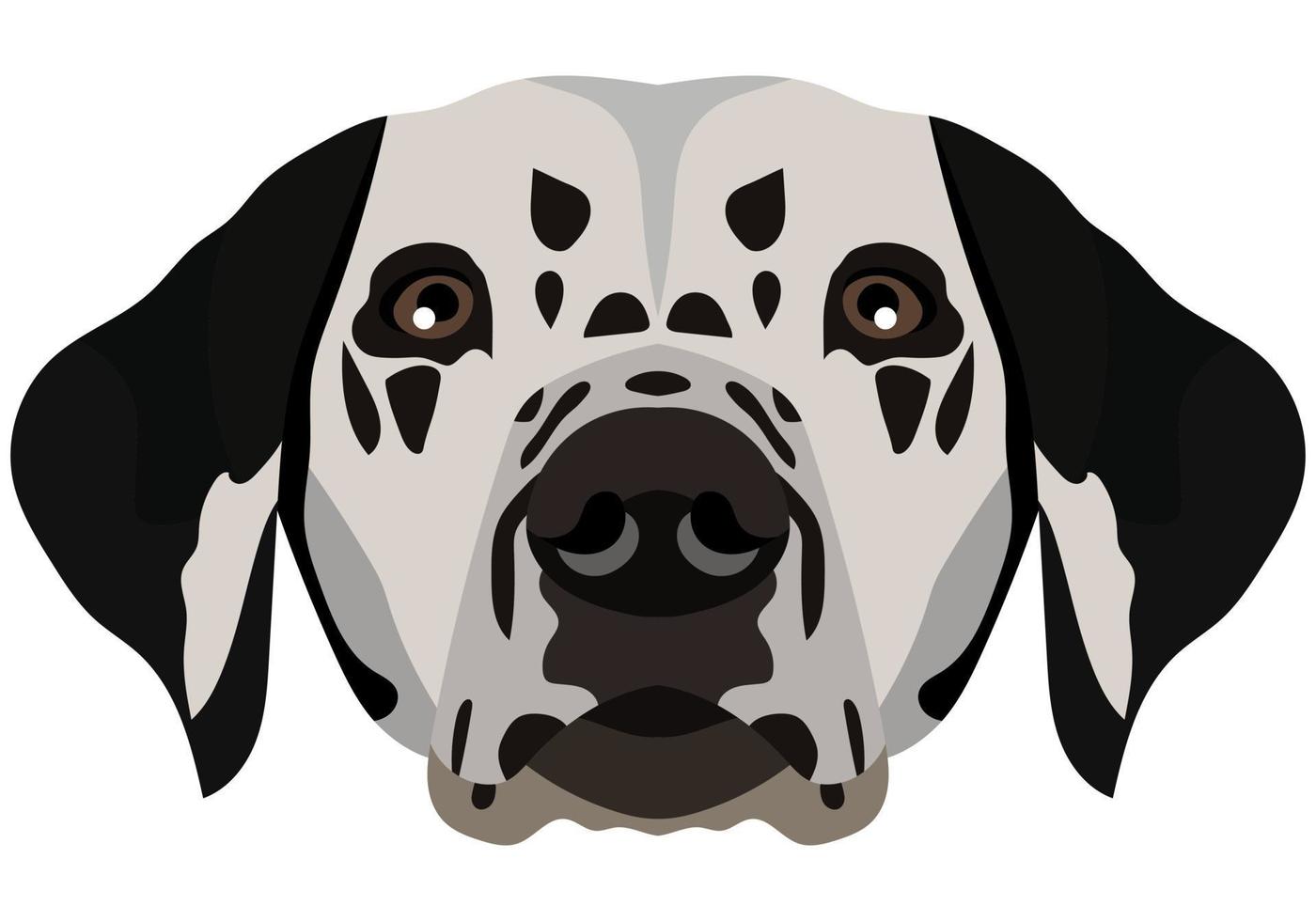 Dalmatinisches Gesicht. Vektorporträt eines Hundekopfes isoliert auf weißem Hintergrund. vektor