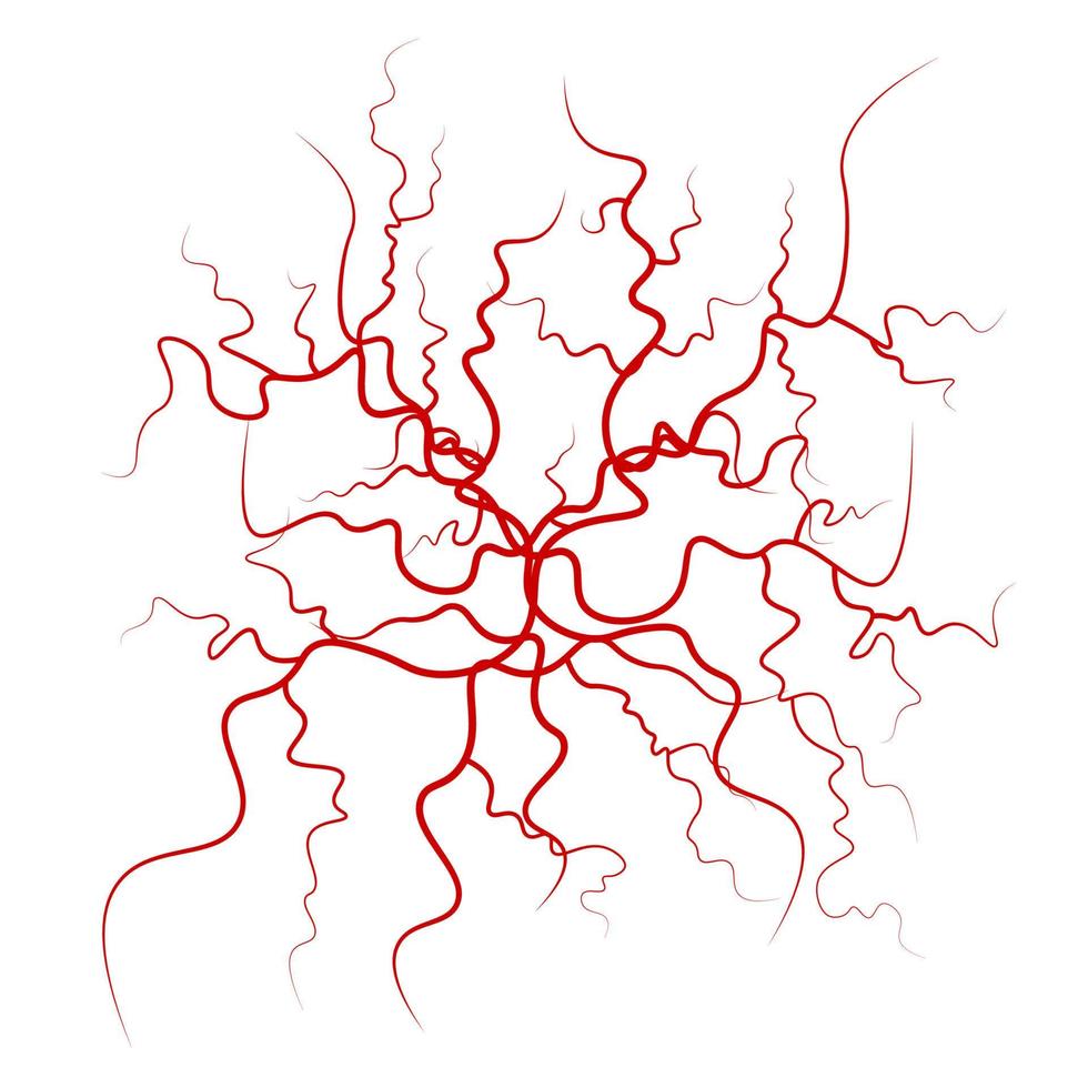 menschlicher Blutvenenvektor. Design der roten Blutgefäße. Abbildung isoliert auf weißem Hintergrund vektor