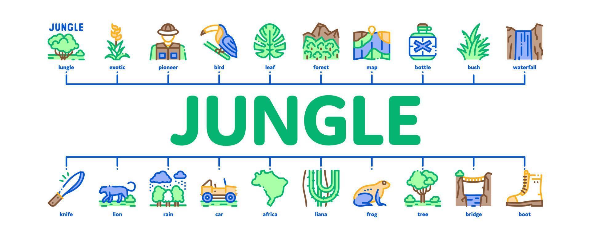 djungel tropisk skog minimal infographic baner vektor platt